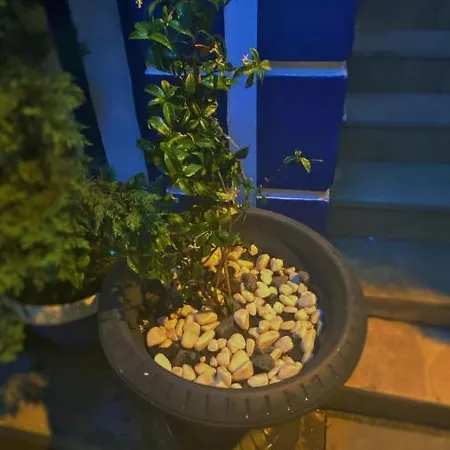 La Petite Maison 酒店