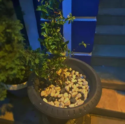 Sultanahmet La Petite Hotell